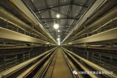 星空体育全站:国产性价比狗粮选对不踩坑！